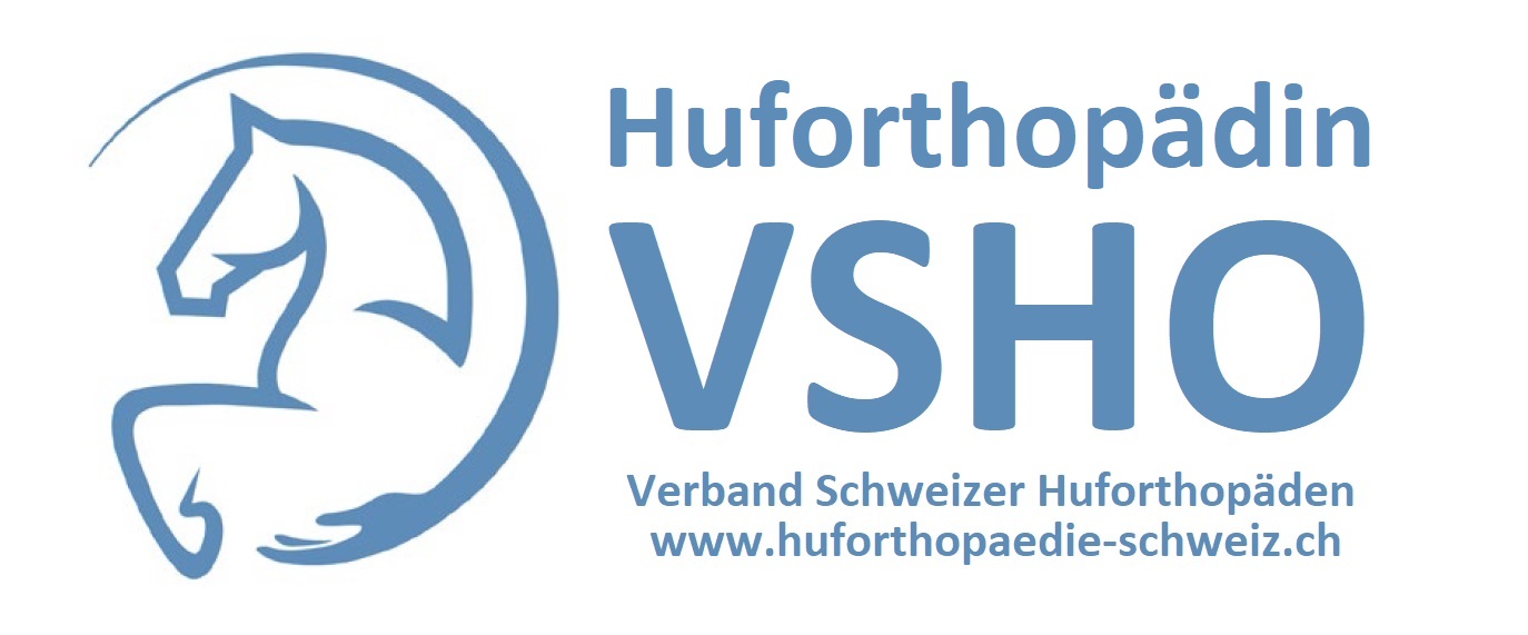 Verband Schweizer Huforthopäden (VSHO)