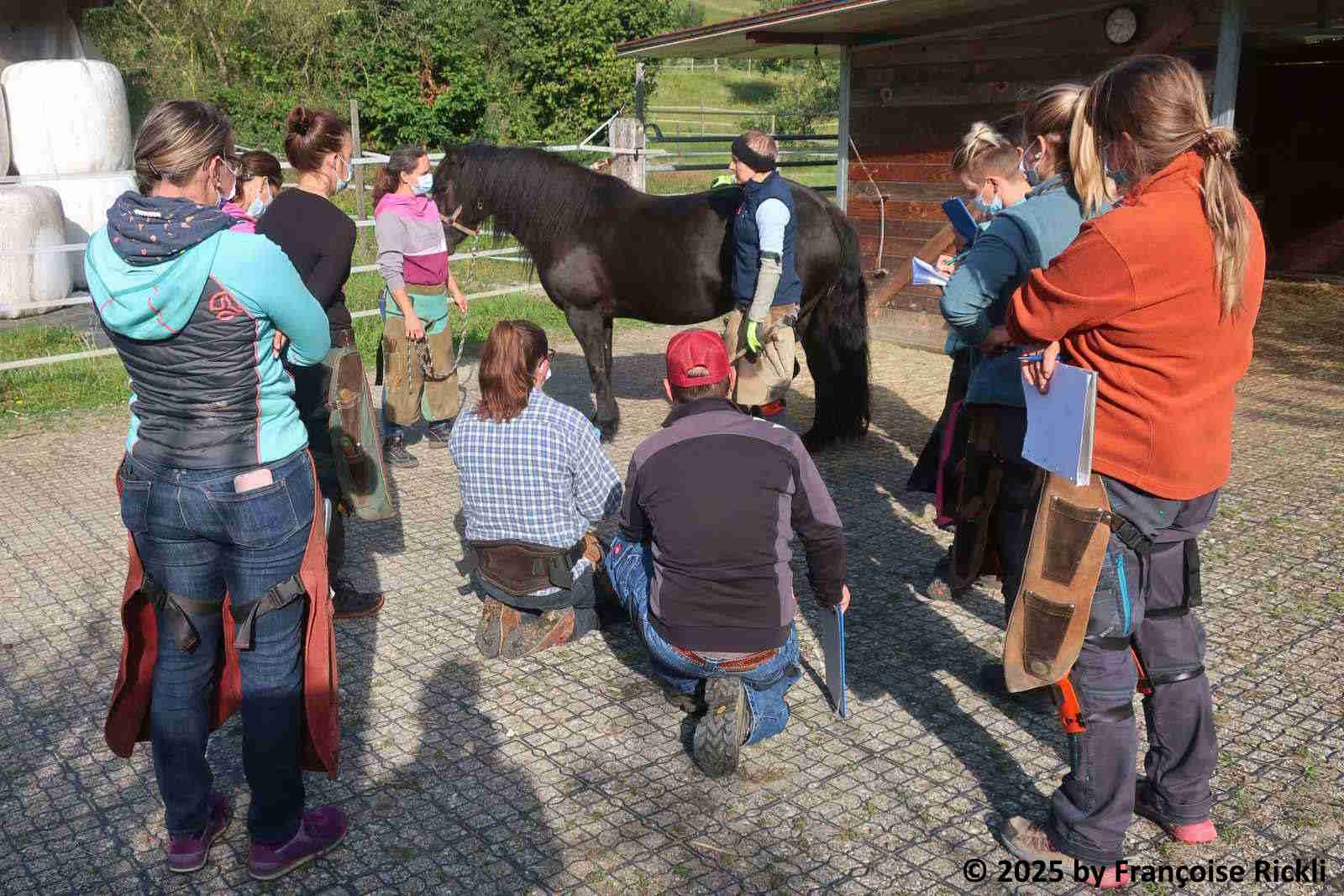 1 Portrait Befund vortrgagen